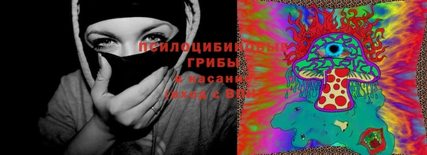 кокс Богданович