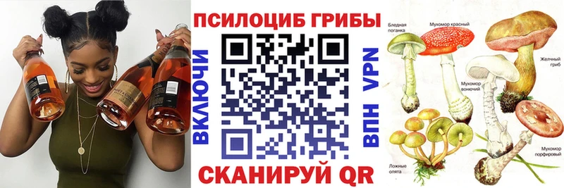 Галлюциногенные грибы прущие грибы  купить наркотик  Северская 